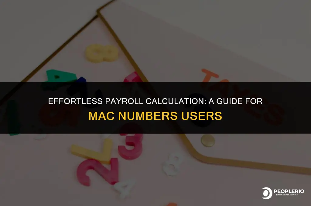 how to calculate payroll on mac numbers