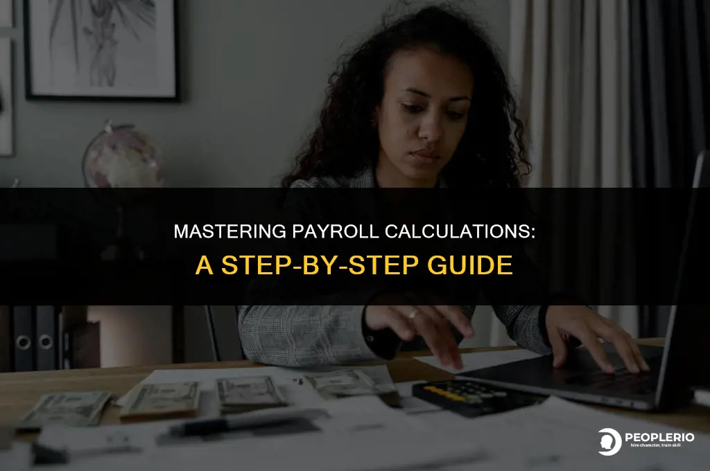 how to calculate payroll on p