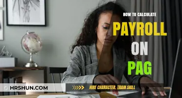 Mastering Payroll Calculations on PAG: A Step-by-Step Guide