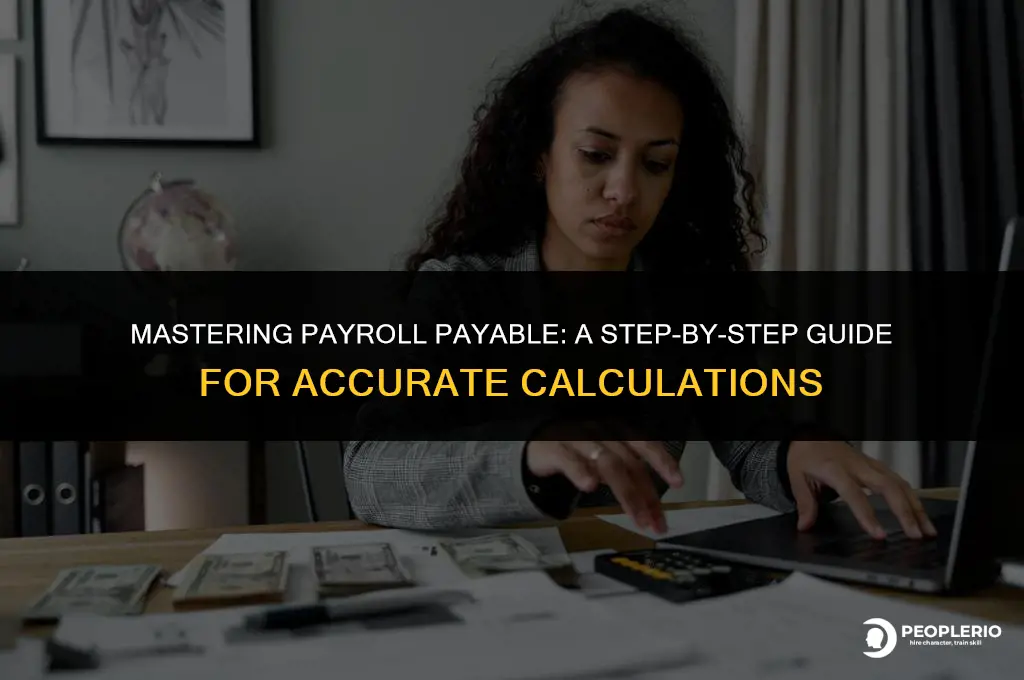 how to calculate payroll payable
