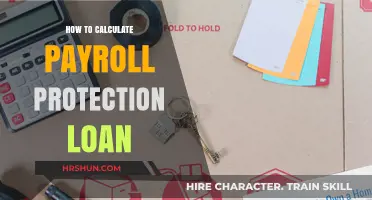 Mastering Payroll Protection Loans: A Step-by-Step Calculation Guide
