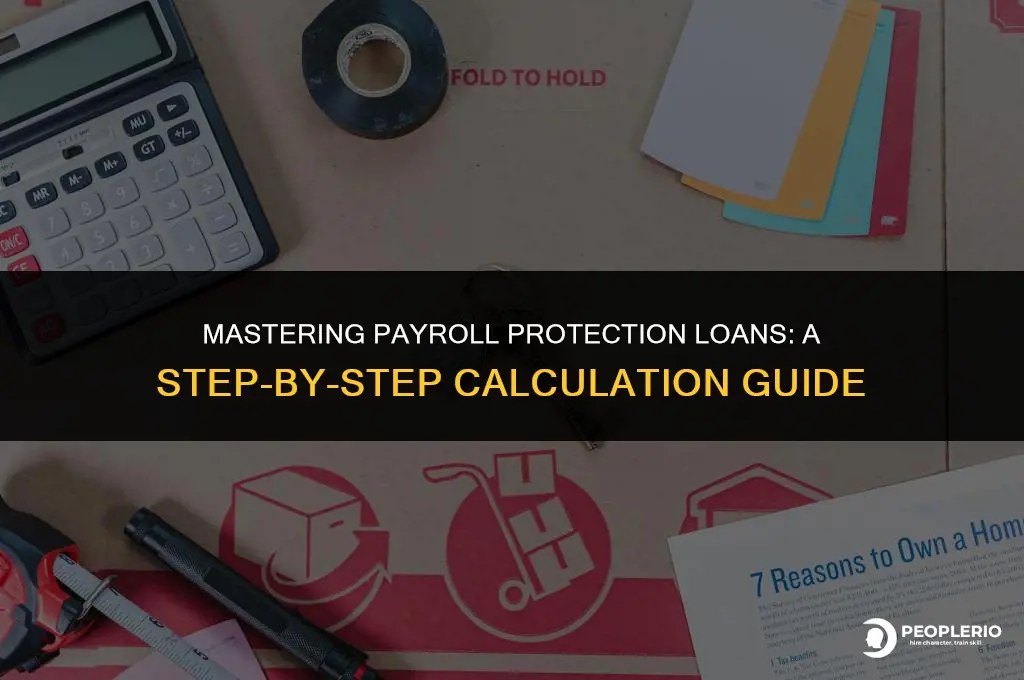 how to calculate payroll protection loan