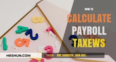 Mastering Payroll Taxes: A Step-by-Step Guide for Employers