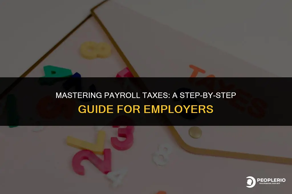 how to calculate payroll taxews