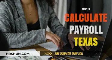 Mastering Payroll in Texas: A Comprehensive Guide for Employers