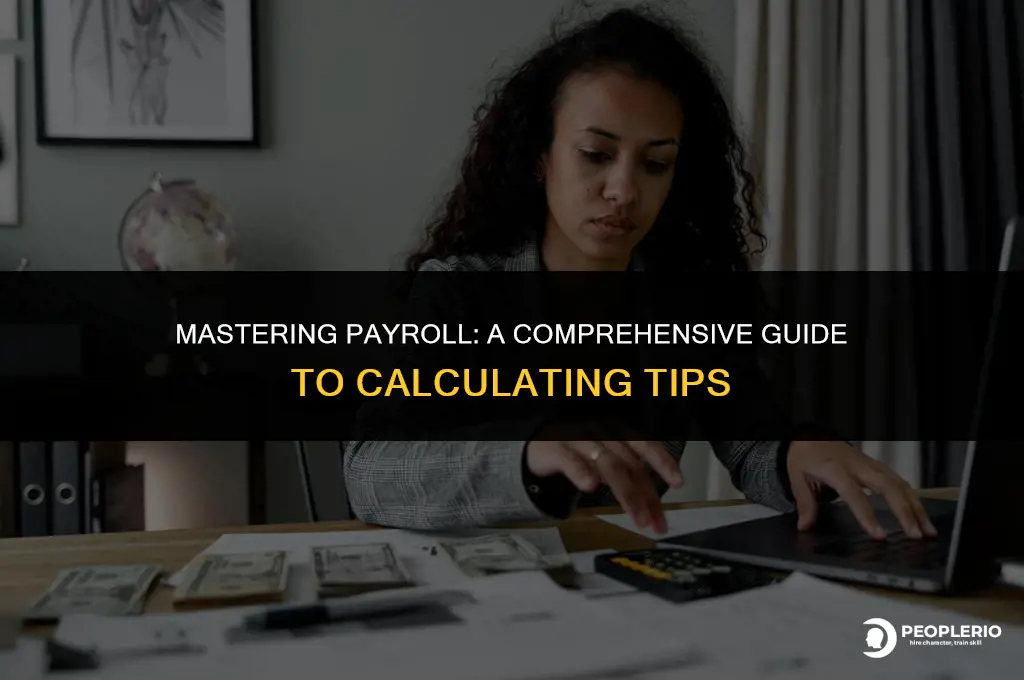how to calculate payroll with tips