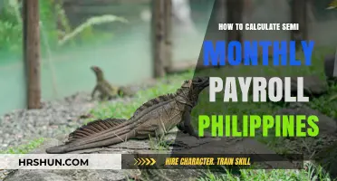 Efficiently Calculating Semi-Monthly Payroll in the Philippines: A Guide