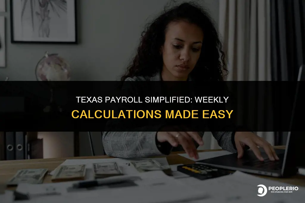 how to calculate weekly payroll texas