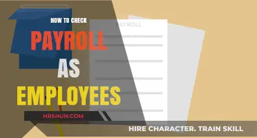 Streamlining Payroll Checks: A Comprehensive Guide for Employees