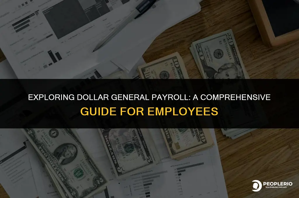 how to check payroll at dollar general