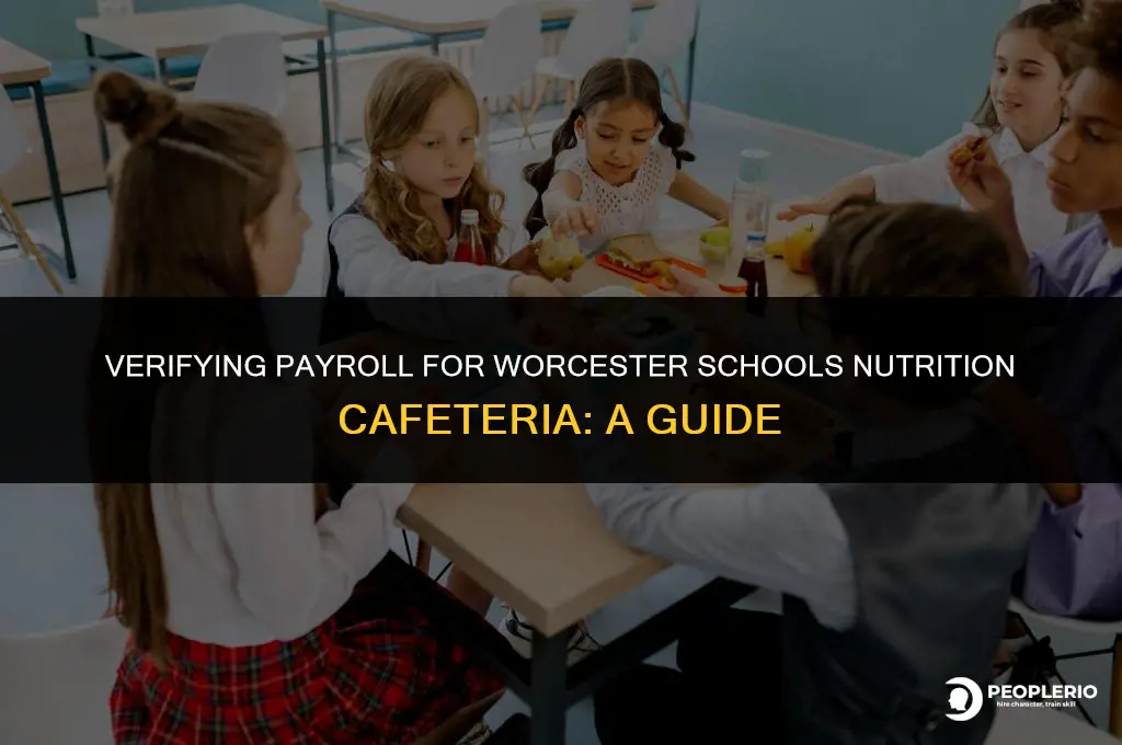 how to check payroll for worcester schools nutrition cafeteria