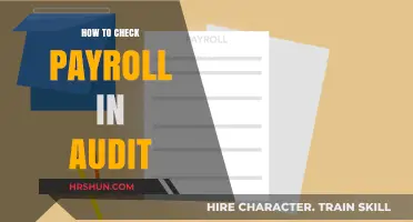 Streamlining Payroll Audits: A Comprehensive Guide for Accuracy and Efficiency