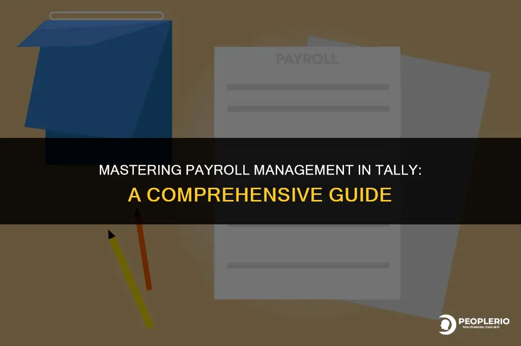 how to check payroll in tally