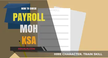 Efficiently Verifying Payroll in Saudi Arabia: A Step-by-Step Guide
