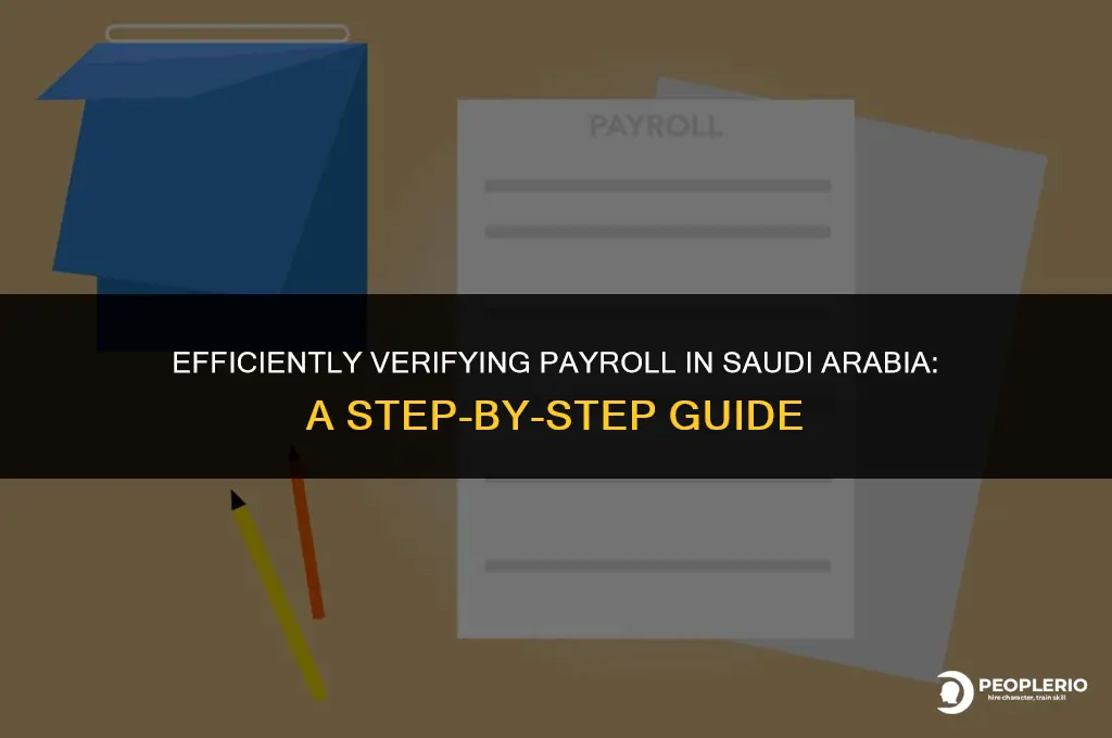 how to check payroll moh ksa