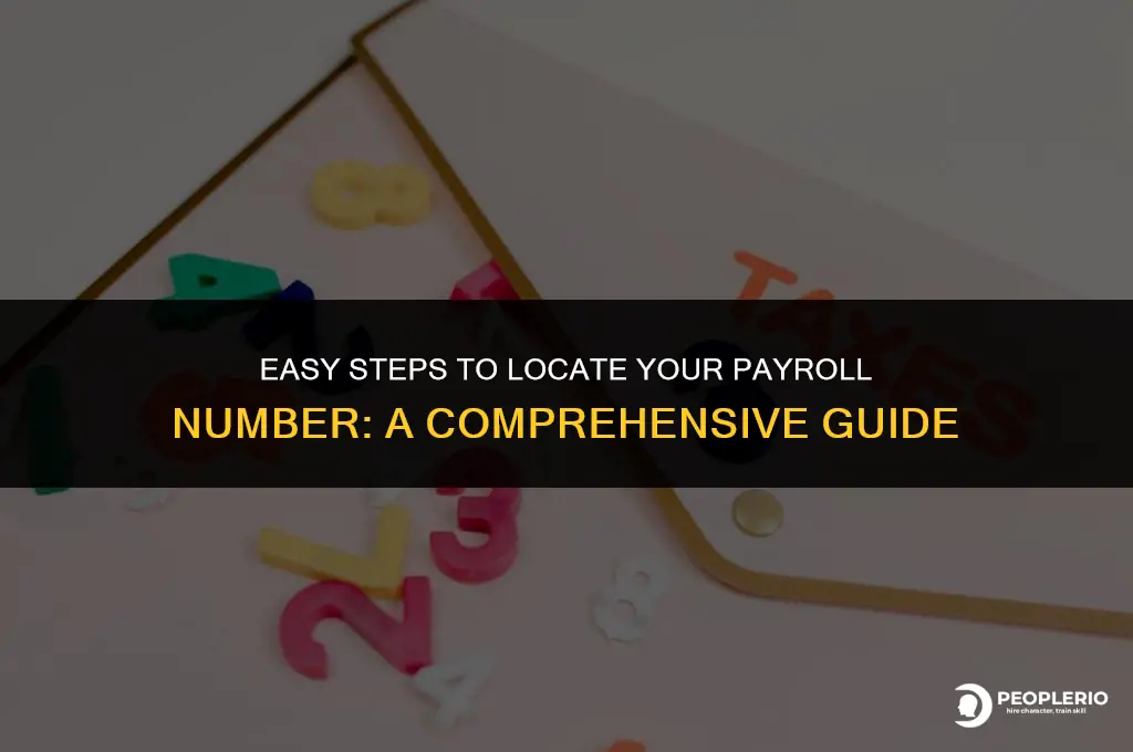 how to check payroll number