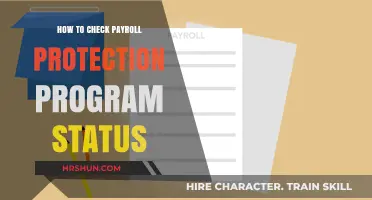 Navigating the Payroll Protection Program: A Status Check Guide