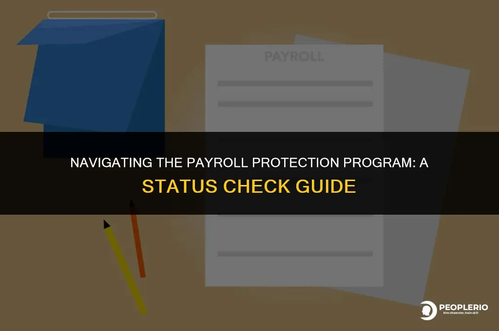 how to check payroll protection program status
