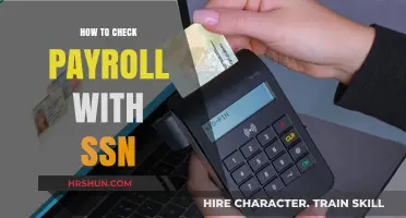 Verify Your Earnings: A Guide to Checking Payroll with SSN