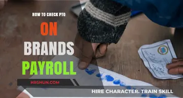 Verifying PTO on Brand Payrolls: A Comprehensive Guide
