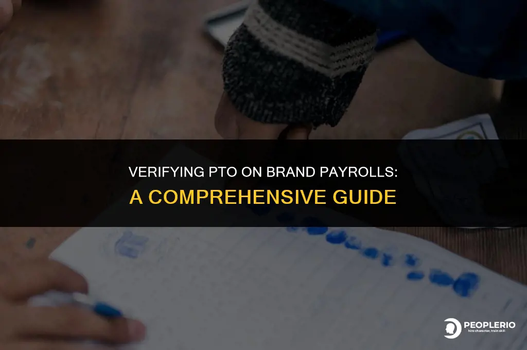 how to check pto on brands payroll