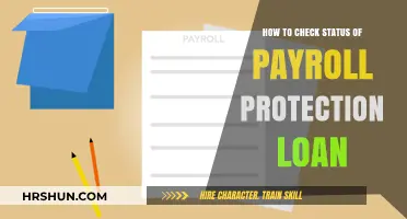 Navigating the Payroll Protection Loan Status: A Comprehensive Guide