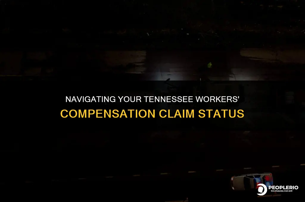 how to check status of tennessee workers compensation claim