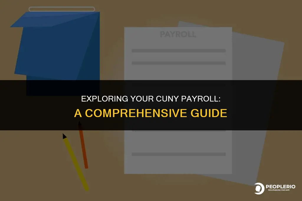 how to check your cuny payroll