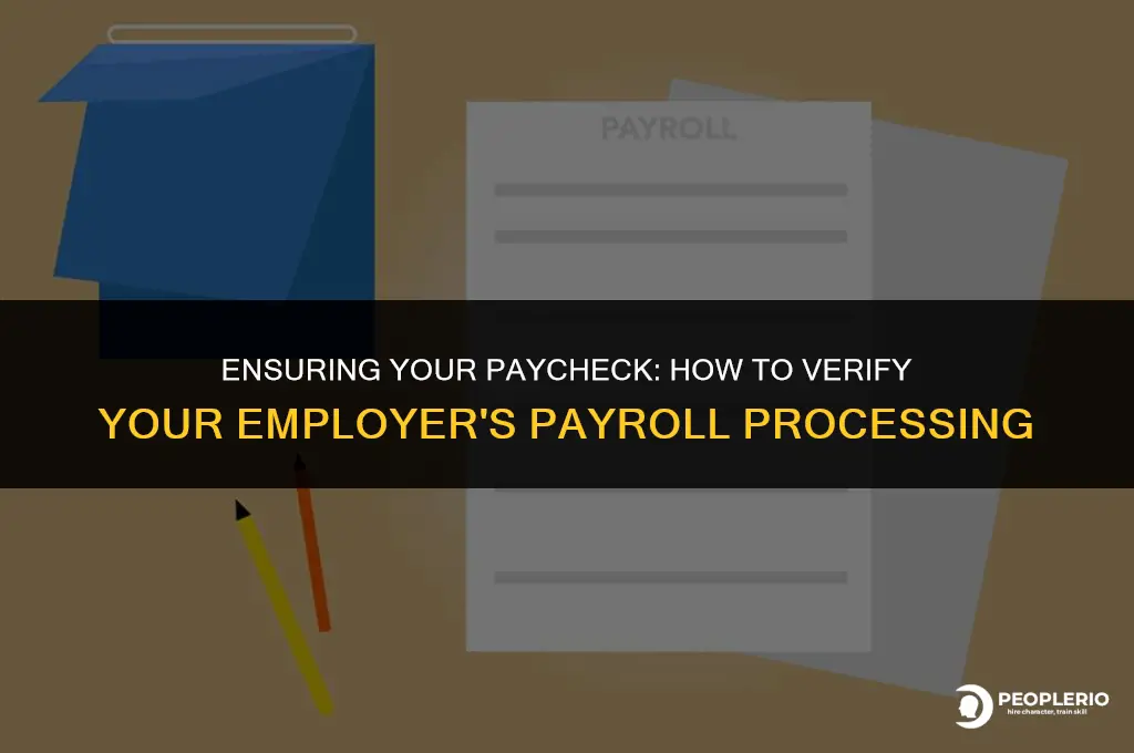 how to check your employer has run your payroll