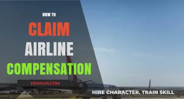 Navigating the Skies: Your Guide to Claiming Airline Compensation