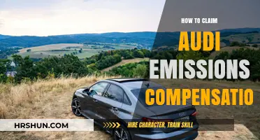 Navigating Audi Emissions Compensation: A Step-by-Step Guide