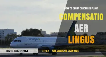 Claiming Compensation for Cancelled Aer Lingus Flights: A Step-by-Step Guide