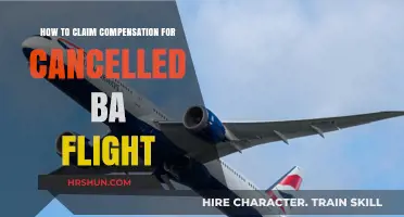 Navigating BA Flight Cancellations: Your Guide to Compensation