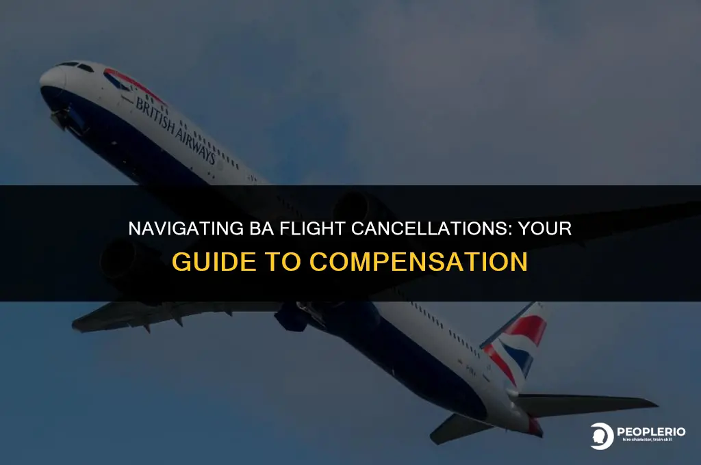 how to claim compensation for cancelled ba flight