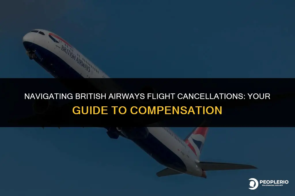how to claim compensation for cancelled flight british airways