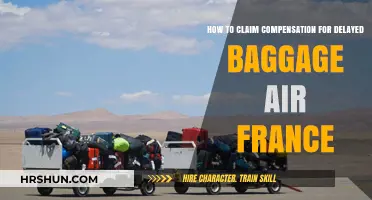 Air France Delayed Baggage: Your Guide to Claiming Compensation