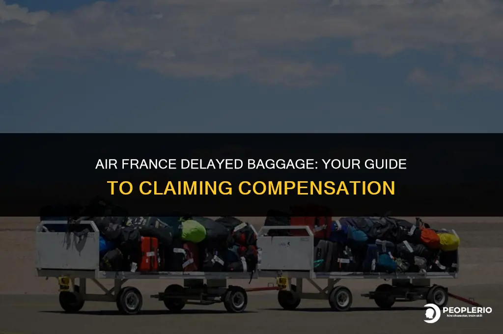 how to claim compensation for delayed baggage air france