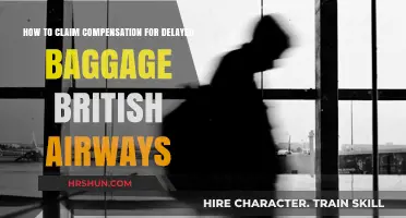 Delayed Baggage Compensation: A Step-by-Step Guide for British Airways Passengers