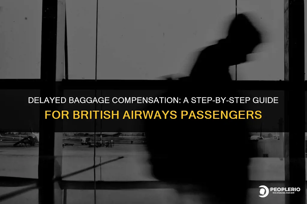 how to claim compensation for delayed baggage british airways