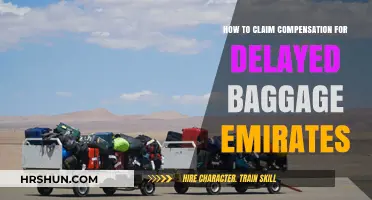 Delayed Baggage on Emirates? Here's How to Claim Compensation