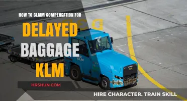 Delayed Baggage on KLM? Here's How to Claim Compensation