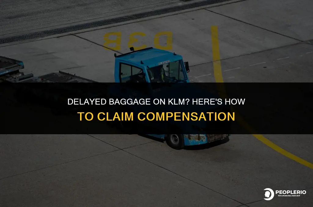 how to claim compensation for delayed baggage klm