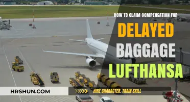 Delayed Baggage Compensation: A Step-by-Step Guide for Lufthansa Passengers