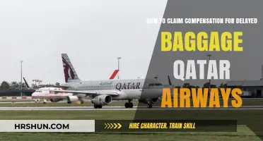 Delayed Baggage on Qatar Airways? Here's How to Claim Compensation