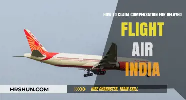 Navigating Air India Delays: Your Guide to Claiming Compensation