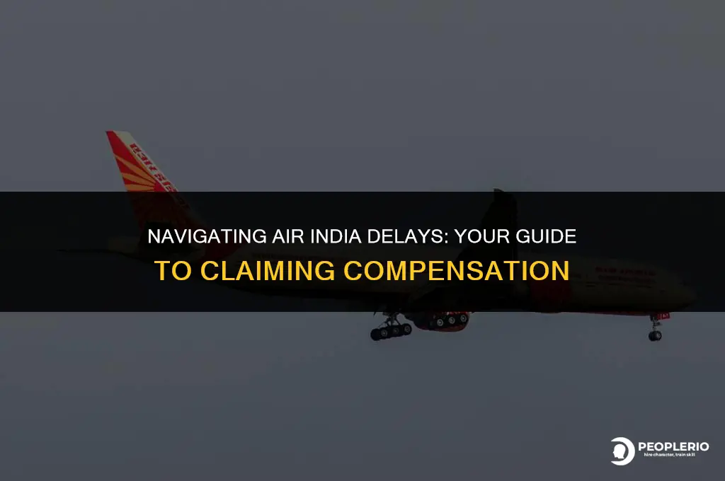 how to claim compensation for delayed flight air india