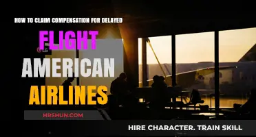 Navigating Delays: Your Guide to Claiming Compensation with American Airlines