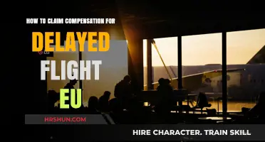 EU Flight Delay Compensation: A Step-by-Step Guide
