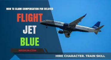 Navigating Delays: Your Guide to Claiming Compensation with JetBlue