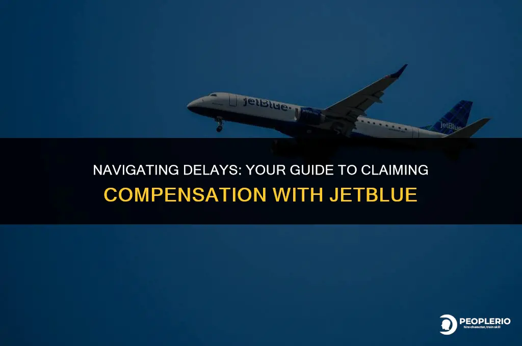 how to claim compensation for delayed flight jet blue